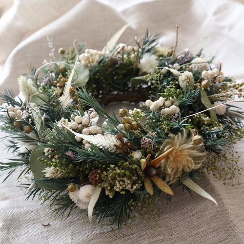 山帰来とアルビフローラのリースと針葉樹とユーカリを紡いだ香り豊かなリース 針葉樹香る*↟⍋*↟ 彩り森のリース 2025クリスマスリース ドライ