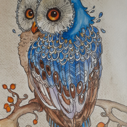 【あす楽対応】 フクロウ 水彩色鉛筆画 絵画 12191347｜Creema 通販 makochin 絵画
