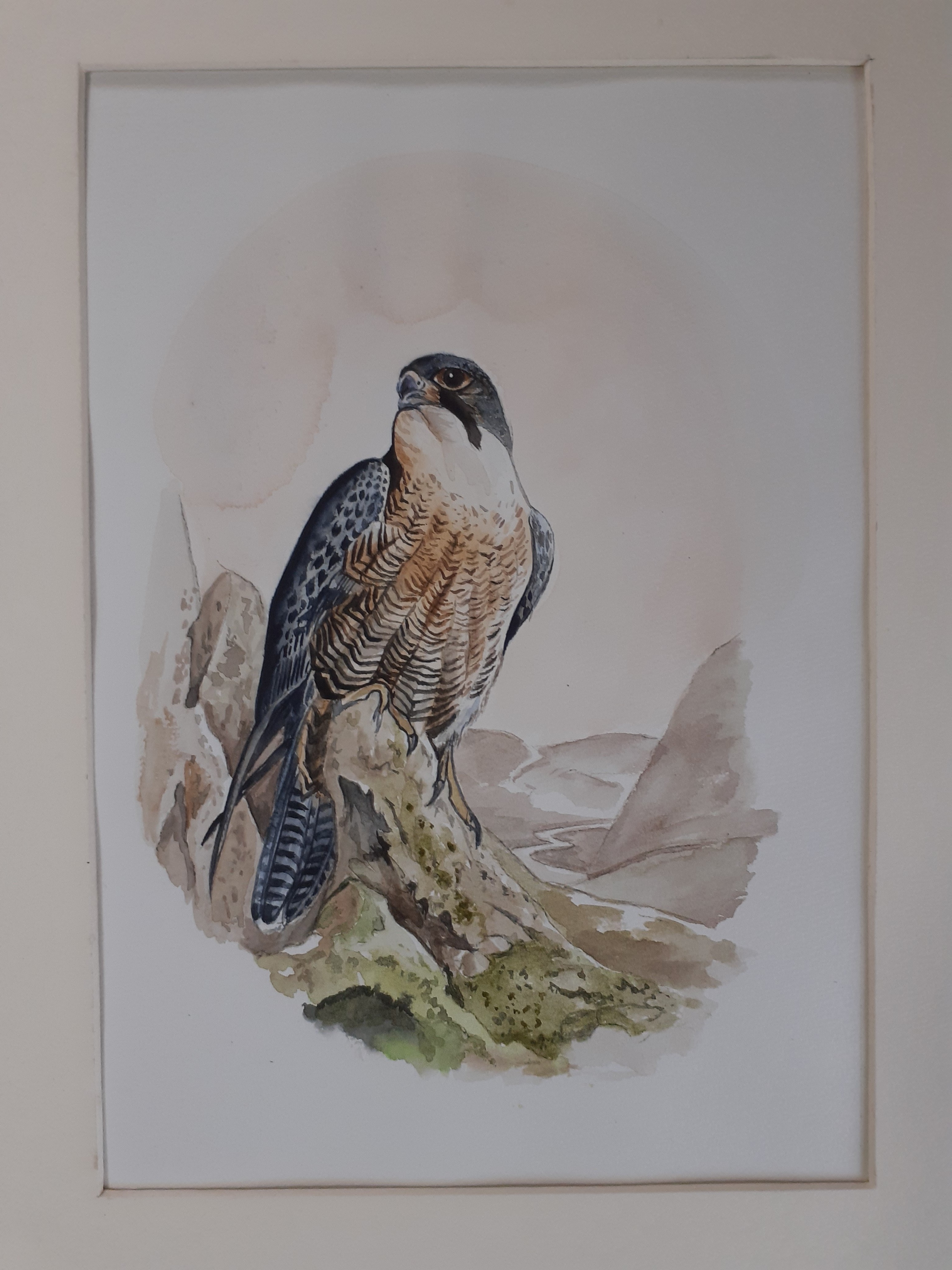 水彩画 ハヤブサ 絵画 makochin 通販 12192391｜Creema(クリーマ)