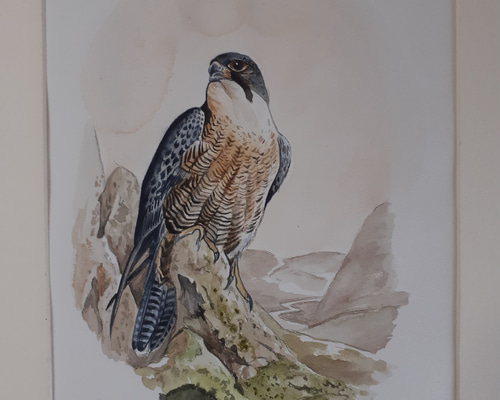 0_50a6b29de38f9ecb5cd733ddb01f