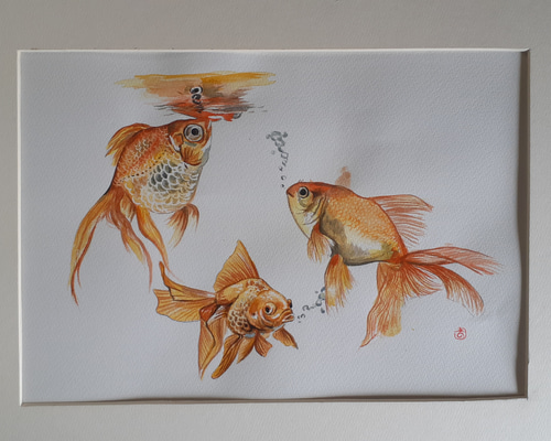 水彩画 金魚 絵画 makochin 通販 12192859｜Creema(クリーマ)