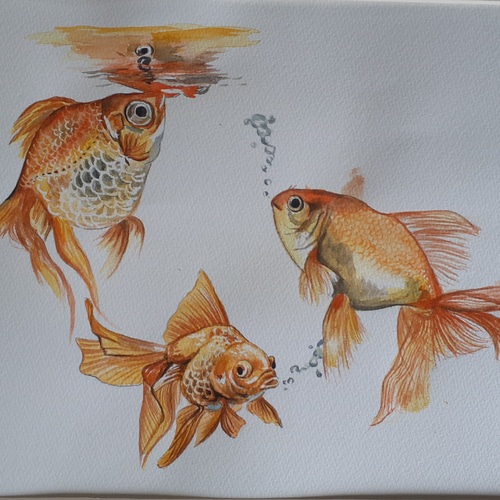 絵画　ANNA．Ｋ　魚 金魚絵画魚オリジナルアートアクリル小さなアートワーク金魚