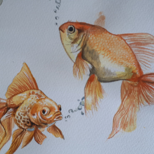 絵画　ANNA．Ｋ　魚 水彩画 金魚 絵画 makochin 通販 18135622｜Creema(クリーマ)
