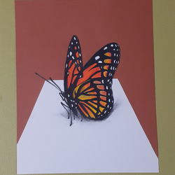 kei meguro 作品 女性と蝶の鉛筆画 A4サイズ kei meguro 作品 女性と蝶の鉛筆画 A4サイズ 目黒ケイ作品集 KEI