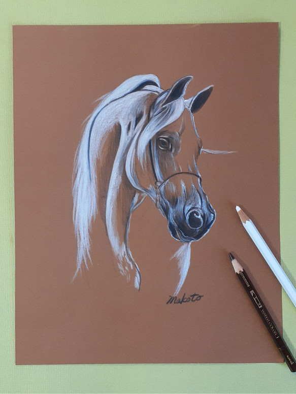 色鉛筆画 原画 メイケイエール 手描き イラスト No.50 馬 色鉛筆画 原画 メイケイエール 手描き イラスト No.50 馬 世界