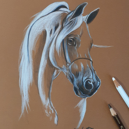 色鉛筆画 色鉛筆画 馬 絵画 makochin 通販 12196982｜Creema(クリーマ