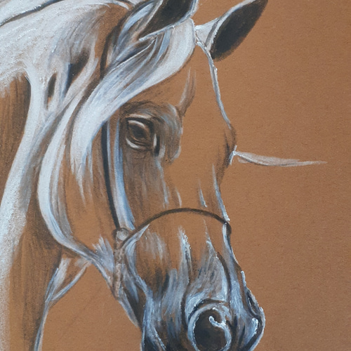 色鉛筆画 馬 絵画 makochin 通販 12196982｜Creema(クリーマ)