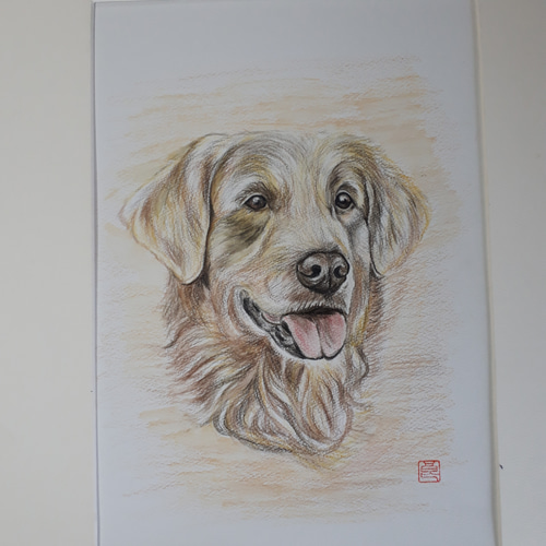 色鉛筆画 ラブラドールレトリバー 絵画 makochin 通販 12205186