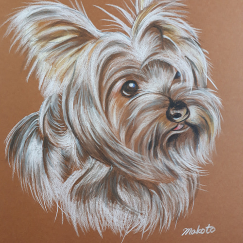 アクリル画 犬 ヨークシャテリア 力づけ 絵画