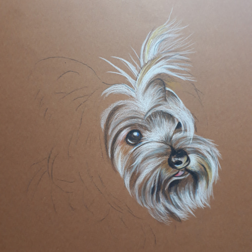 アクリル画 犬 ヨークシャテリア 力づけ 絵画