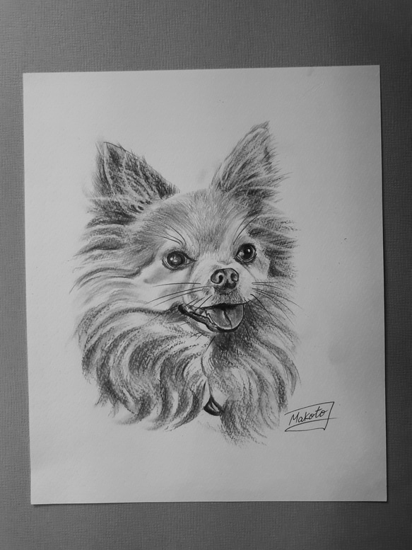 鉛筆画 チワワ 絵画 makochin 通販 12292867｜Creema(クリーマ)