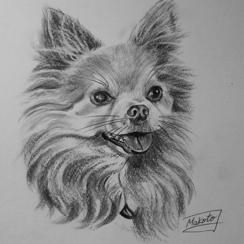 鉛筆画 チワワ 絵画 makochin 通販 12292867｜Creema(クリーマ)