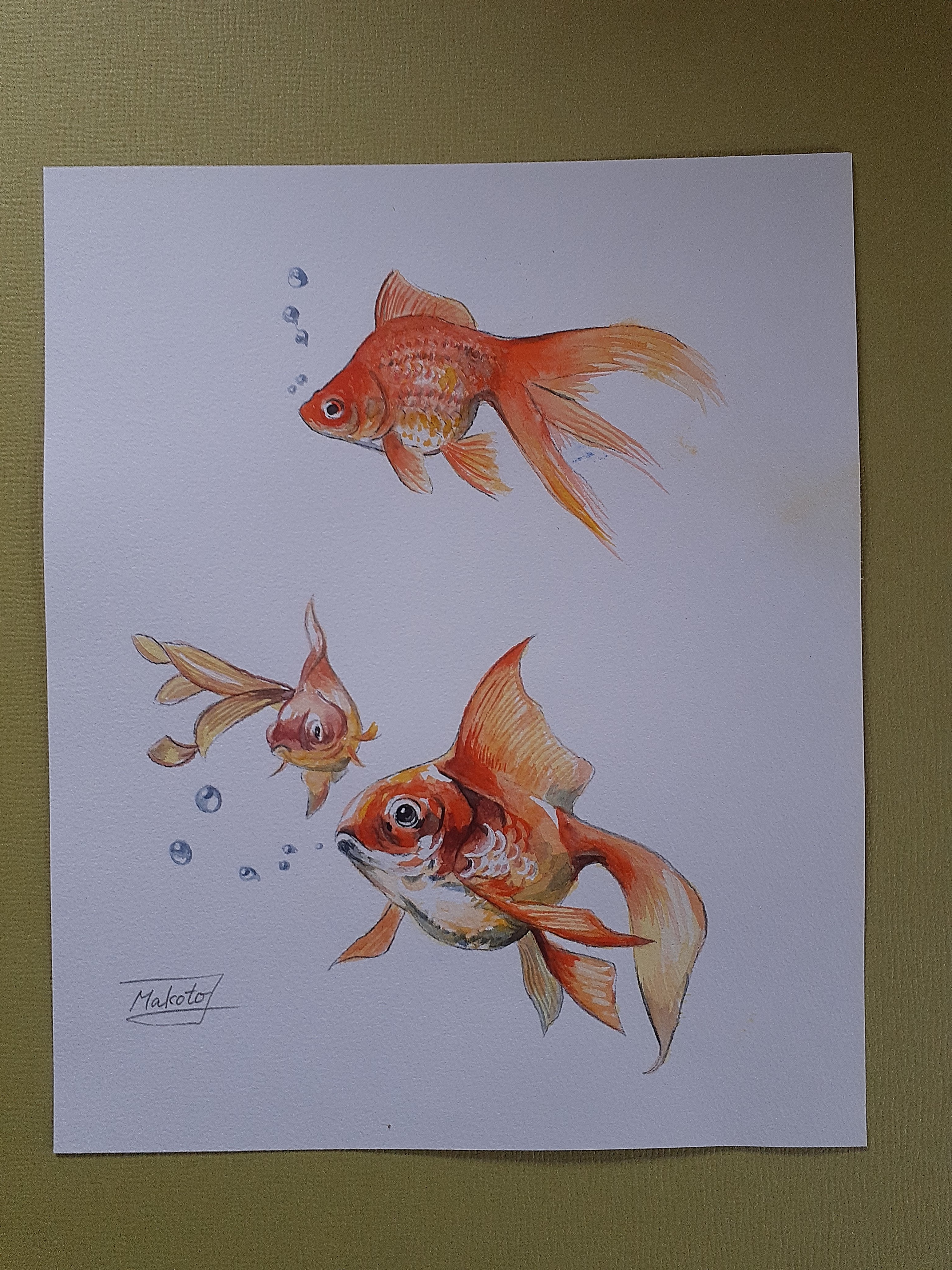 魚の水彩画額縁付き 繁野三郎「春告魚（ニシン）」水彩画・8号 絵画買取・販売の小竹美術