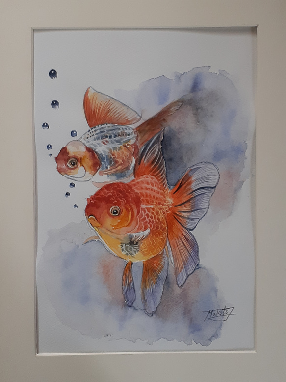 水彩画 金魚 絵画 makochin 通販 12576779｜Creema(クリーマ)