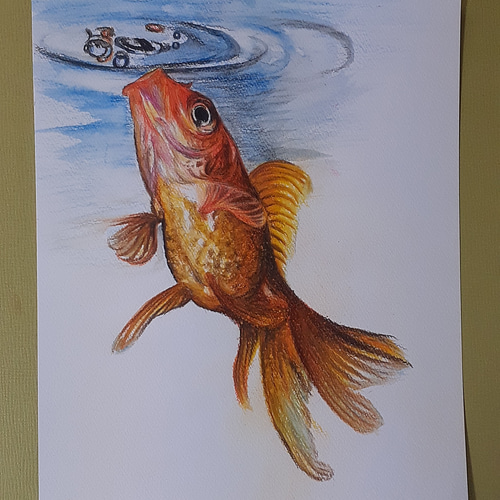 色鉛筆画 金魚 絵画 makochin 通販 12689269｜Creema(クリーマ)