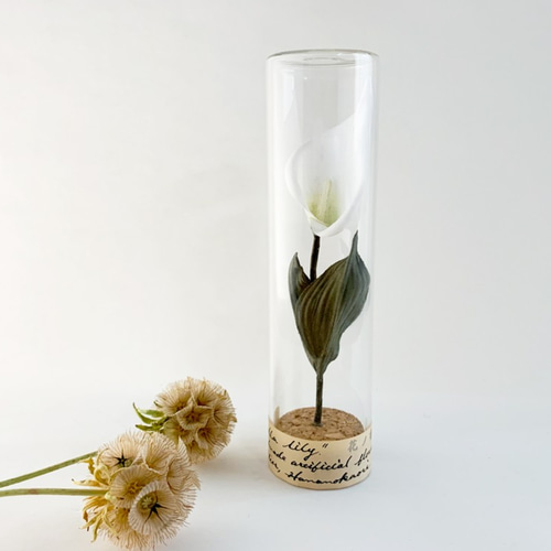 Herbarium : 染花の標本ボトル (L)【小さなカラーの花】 ハーバリウム