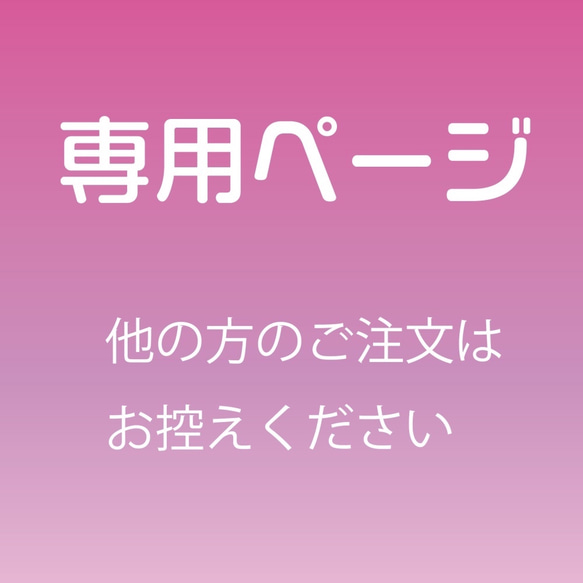 専用ページ 1枚目の画像