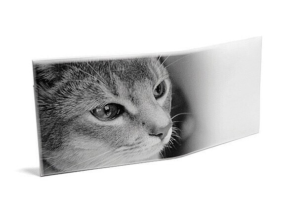 【送料￥90】 ストーンペーパーウォレット【遠くを見つめる猫】 1枚目の画像