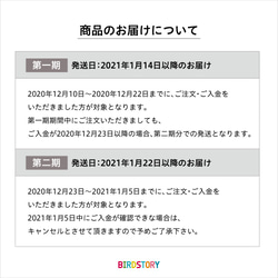 ご予約受付中！銀の福袋2021（セキセイインコ） 4枚目の画像