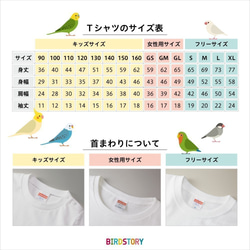 Tシャツ（オクムラミチヨ / soda birds） 5枚目の画像