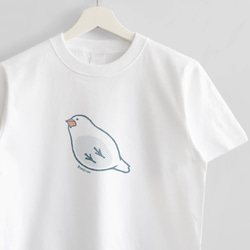 Tシャツ（したから文鳥） 1枚目の画像