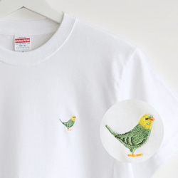 刺繍Tシャツ（BIRD!BIRD!BIRD! / セキセイインコ / グリーン） 1枚目の画像