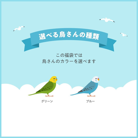 【ご予約受付中】SUMMER HAPPY BAG 2020（BIRDSOTRY / セキセイインコ） 2枚目の画像