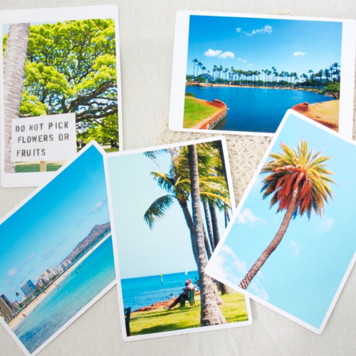 ポストカード】ハワイの植物 ポストカード しださん(=ﾟωﾟ) 通販