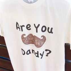 【Tシャツ】DANDY Tシャツ 2枚目の画像