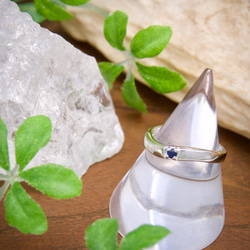 宝石彫刻】アゲート（ジオード）・フクロウ 天然石 しださん(=ﾟωﾟ