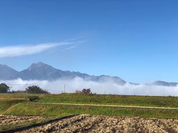 サイズがオーダーできる木のまな板（山梨県産檜） 10枚目の画像