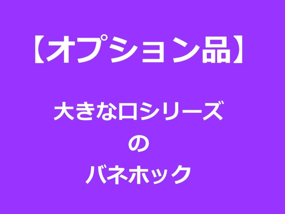 【選配】大口系列彈簧鉤 第1張的照片