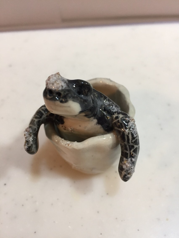 陶器で作った海亀の赤ちゃん〔小〕 その他置物 ますほ 通販 陶器で作った海亀の赤ちゃん〔小〕 その他置物 ますほ 通販