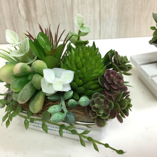 カゴ寄せ植え② | yama niwa