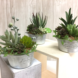 ミニアルミ缶 多肉寄せ植え3セット アートフラワー カガミン 通販