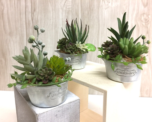 ミニアルミ缶 多肉寄せ植え3セット アートフラワー カガミン 通販