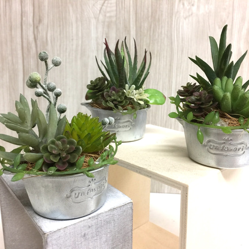 ミニアルミ缶 多肉寄せ植え3セット アートフラワー カガミン 通販