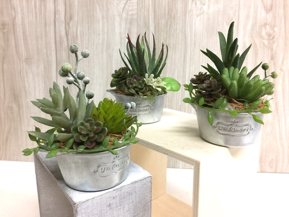 ミニアルミ缶 多肉寄せ植え3セット アートフラワー カガミン 通販