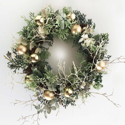 針葉樹と木ノ実のクリスマスリース✴︎冬のリース 針葉樹と木ノ実のクリスマスリース☆冬のリース - メルカリ