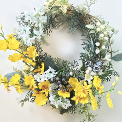 ネイティブフラワー：ドライアンドラ フォルモーサのリース リース