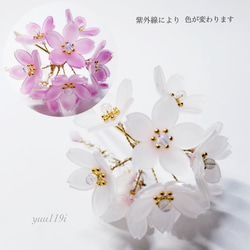 ＊色変わり桜の簪＊紫外線 1枚目の画像
