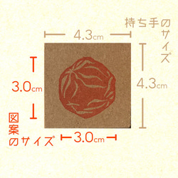  第5張的照片