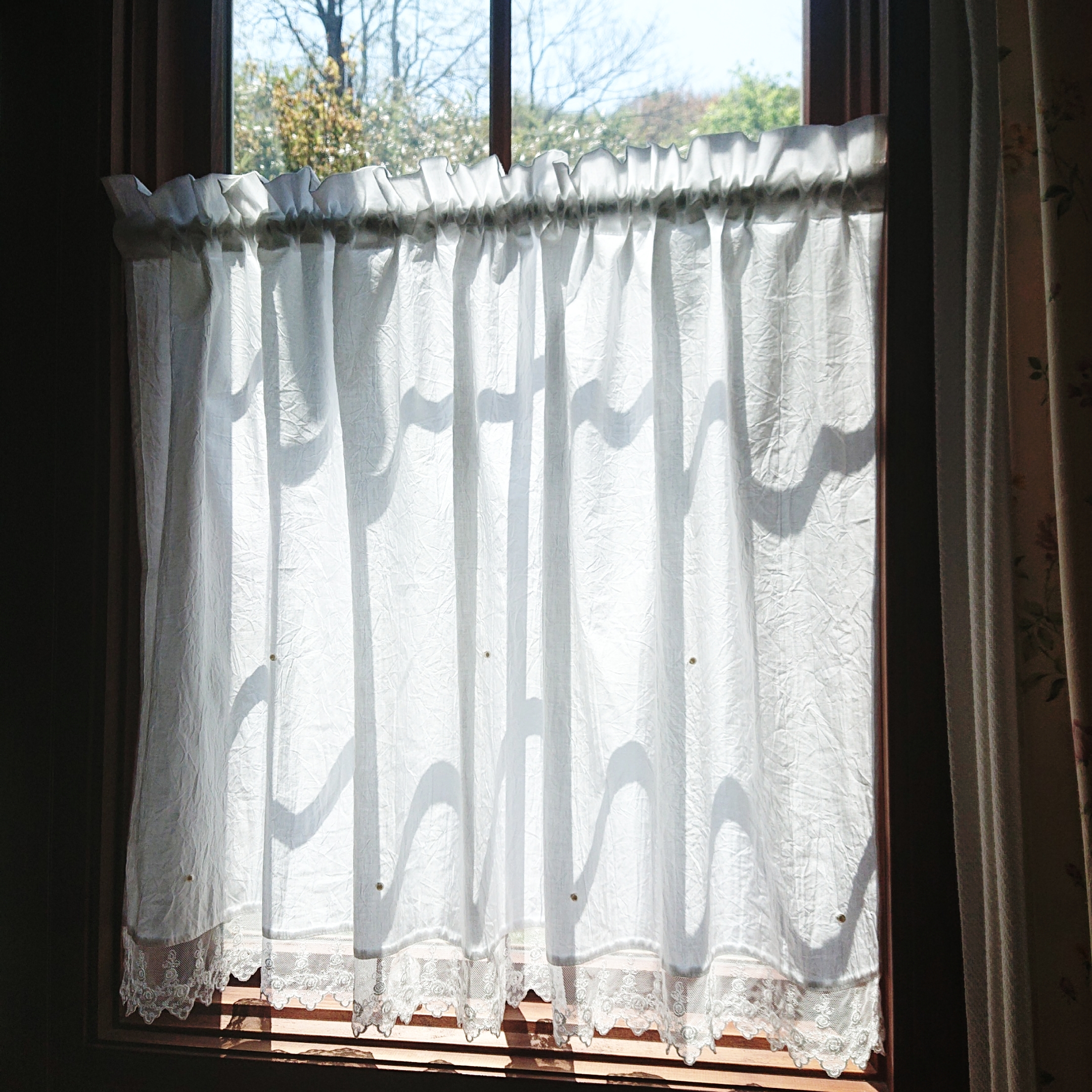 ホワイトコットン♪７パールカフェカーテン 112cm×67cm