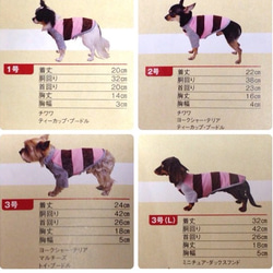 ★大人気！犬服ヤンクミジャージ各サイズ【受注製作】 2枚目の画像