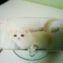 値下げ　真っ白な可愛い子猫の長財布 2枚目の画像
