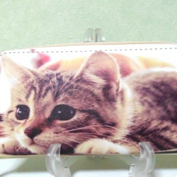 一週間だけの特価品 　可愛い子猫の 長財布 1枚目の画像