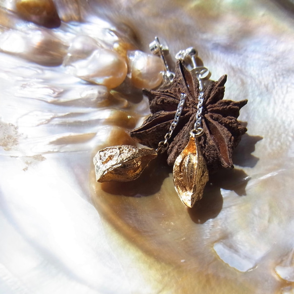 Anise (八角茴香) 鍊子耳環 (SV925，黃銅) 第4張的照片