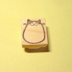 ぽっちゃりはちわれ猫 1枚目の画像