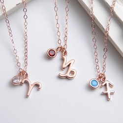 12星座と誕生石のネックレス ~ 14K RGF ~ Zodiac and Birthstone Necklace 1枚目の画像