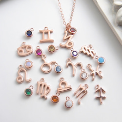 12星座と誕生石のネックレス ~ 14K RGF ~ Zodiac and Birthstone Necklace 2枚目の画像